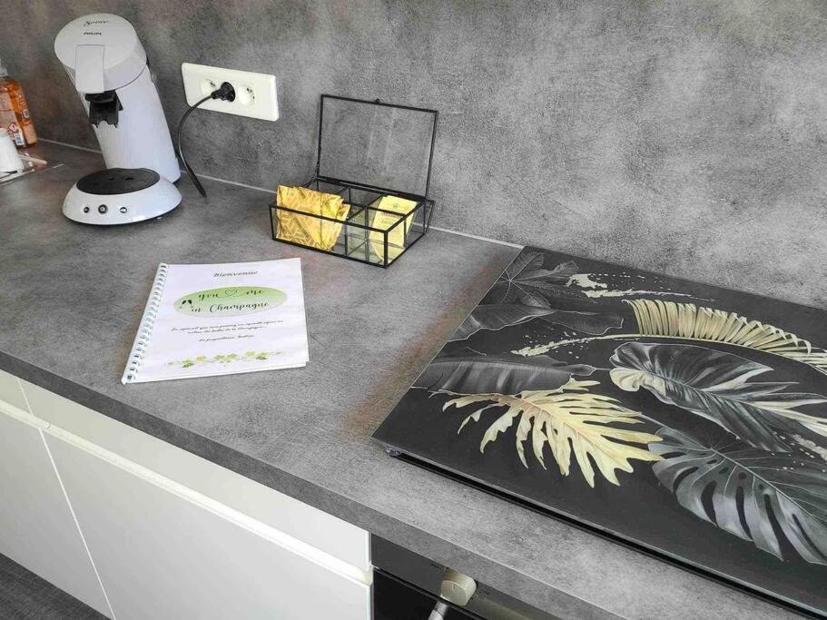Appartstudio « You & Me In Champagne » Épernay Kültér fotó